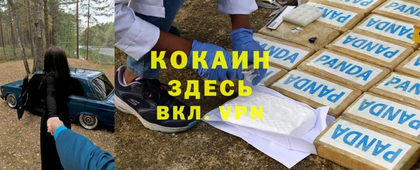 молекула духа Баксан