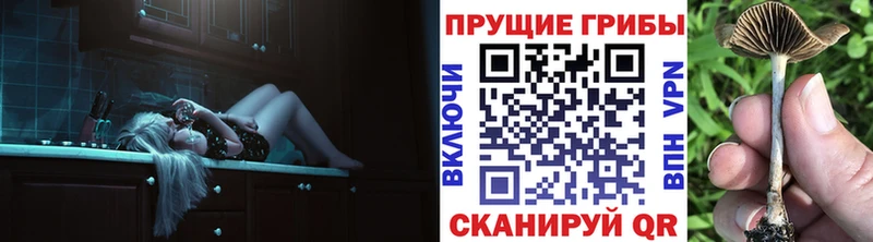 Псилоцибиновые грибы Magic Shrooms  мега ONION  Нолинск 